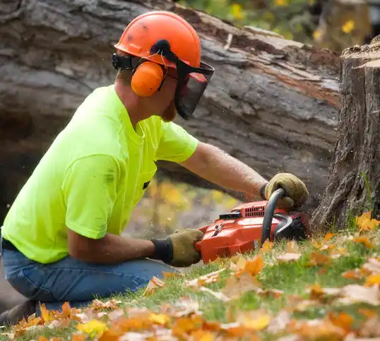 tree services Brooklawn